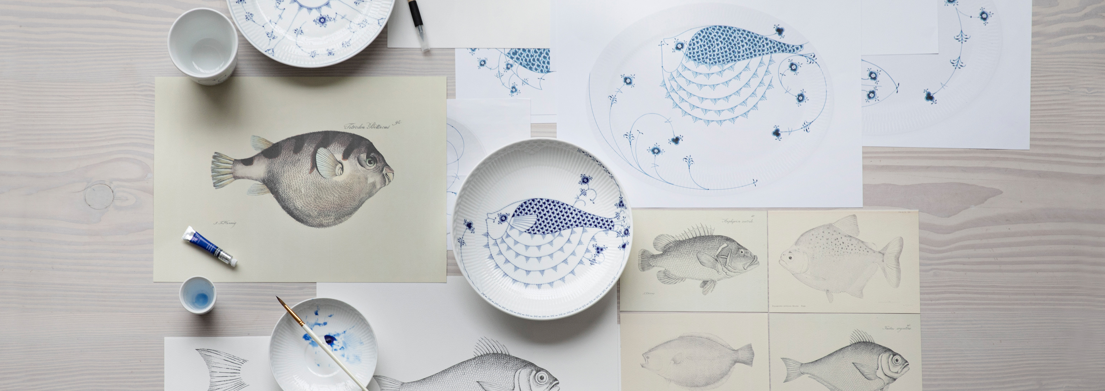 Inspirational drawings and images of the blowfish which was the inspiration for the Blowfish shallow bowl 25 cm